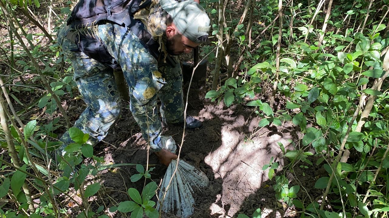 Las evidencias fueron puestas a disposición del Ministerio Público