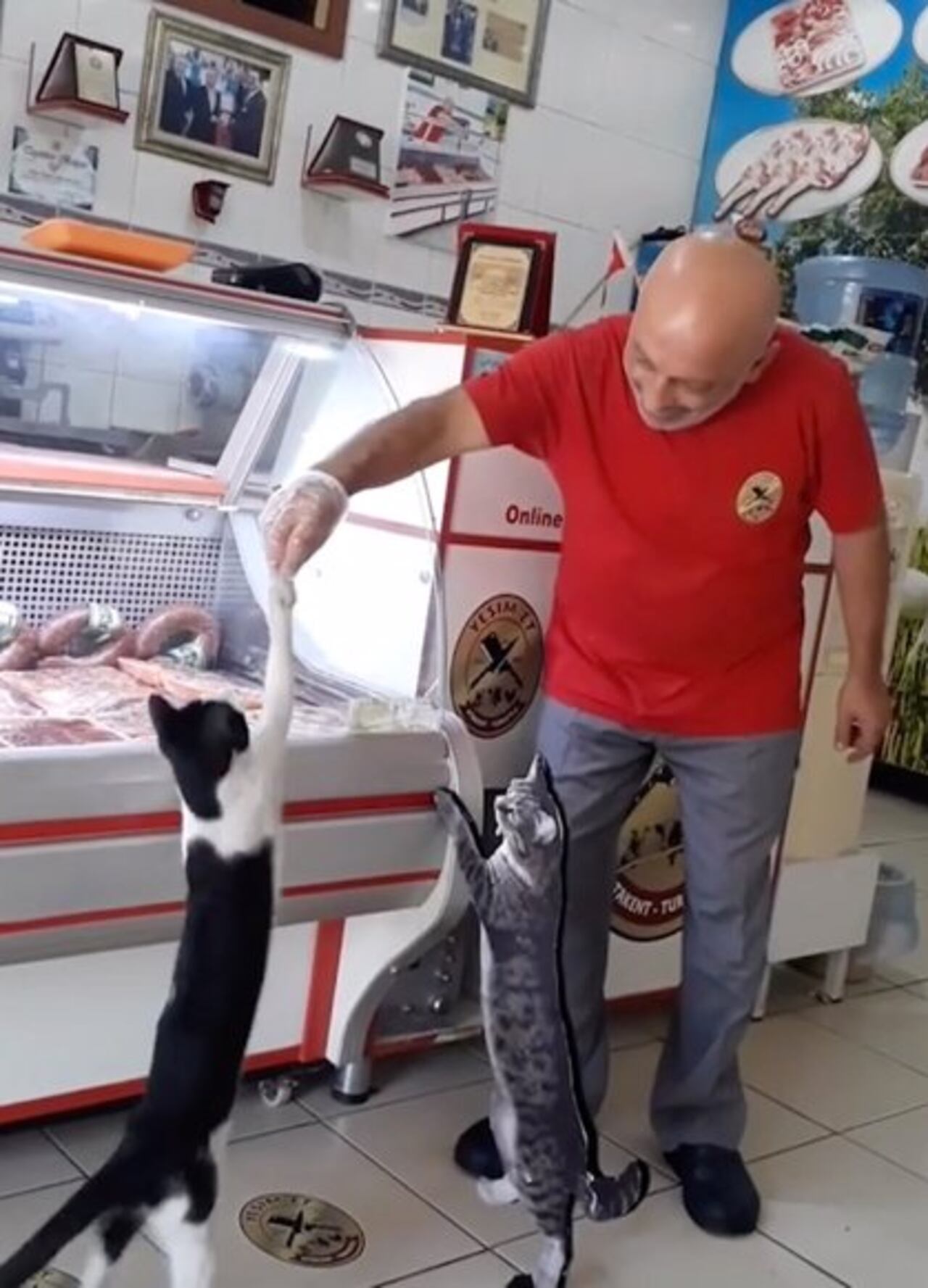 El hombre se ganó el cariño de muchas personas y recibió el aplauso de los internautas. Foto: Caters New Agency(Photo: CATERS NEWS AGENCY / IKRAMKORKMA)