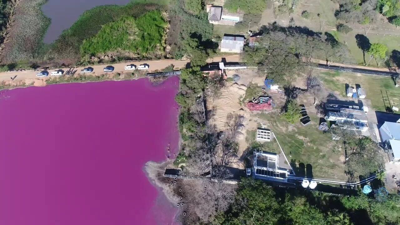 La Laguna Cerro presenta un vivo color rosa debido a la contaminación | Foto: MADES
