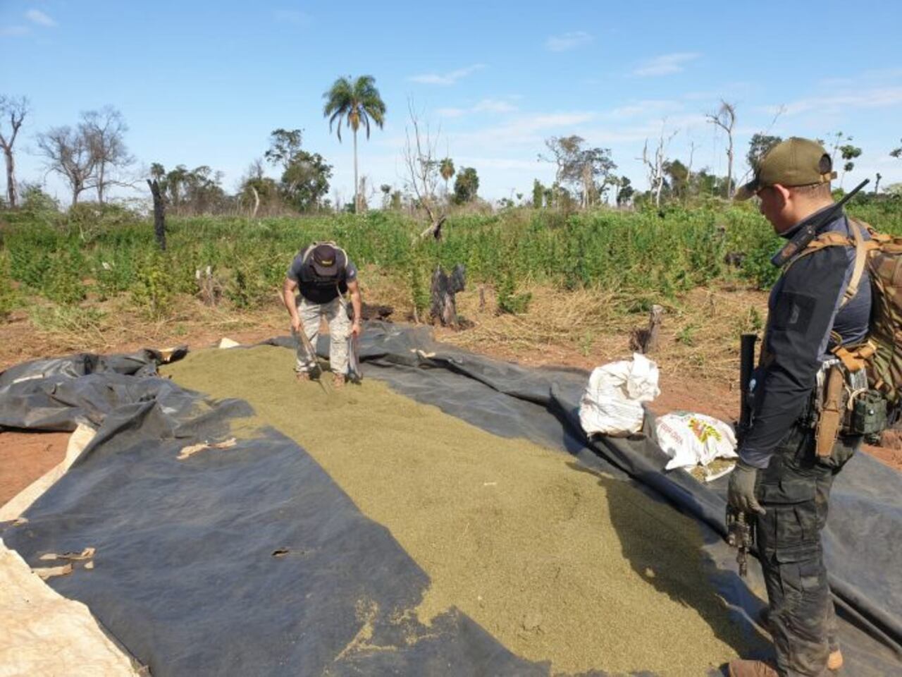 El campamento pertenecería a un esquema criminal del Brasil. Foto: IP.