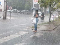 Cómo configurar SATSEN para recibir alertas en tu celular