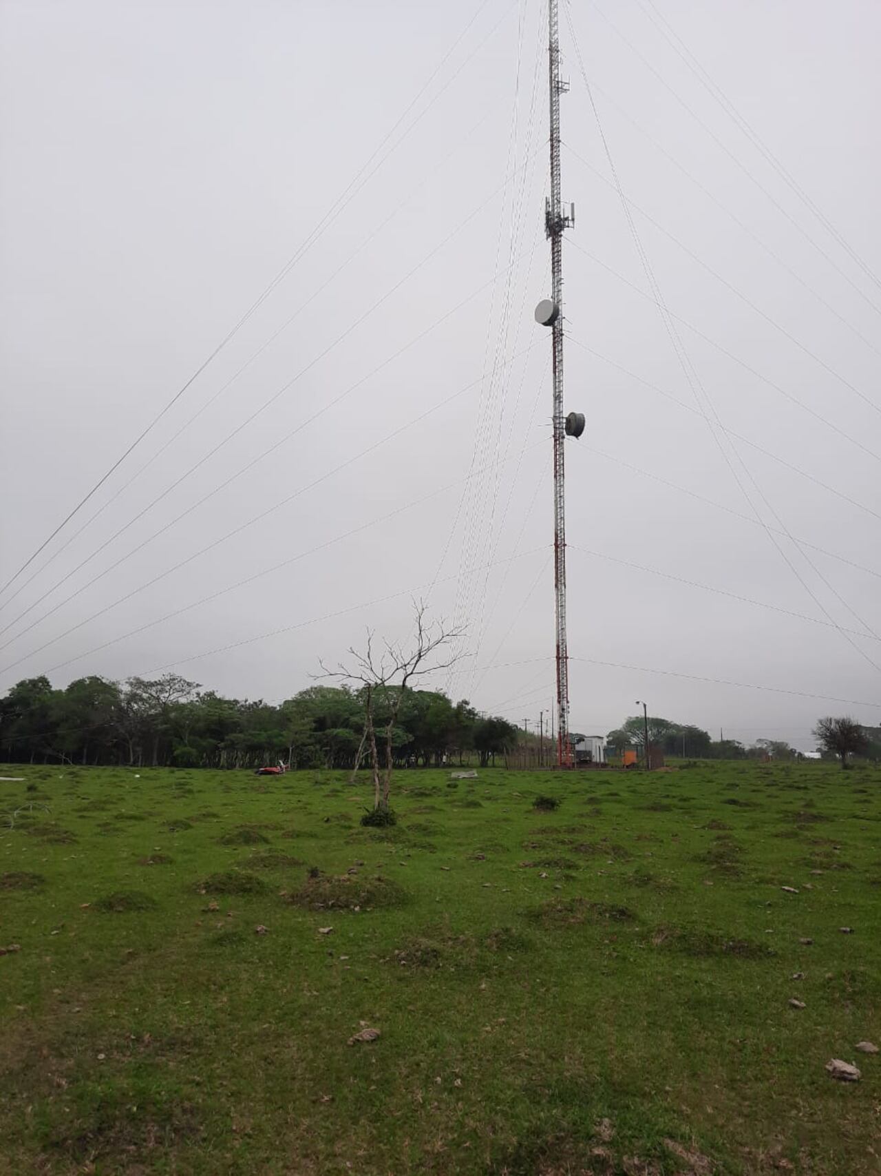 Tras chocar contra la antena, la avioneta cayó y el piloto perdió la vida. Foto: Gentileza.