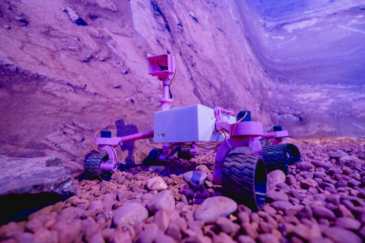 MuCi invita a observar el cosmos y celebrar la ciencia en diciembre. Foto: gentileza